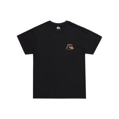 Abbildung von Quiksilver EVO Original Tshirt print, Herren, Größe: Large, Kvj
