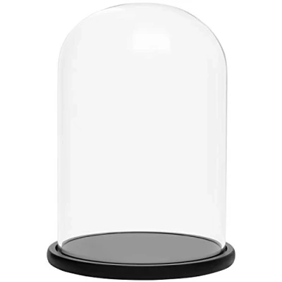 Abbildung von BELLE VOUS Glasglocke groß mit Holzboden Glaskuppel 30 cm Glas Glocke Deko Tischdeko schwarz transparent