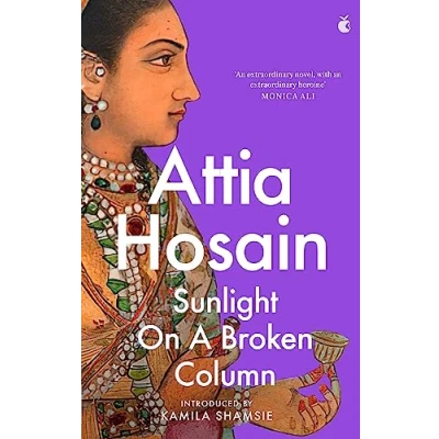 Abbildung von Sunlight on a Broken Column (Virago Modern Classics)