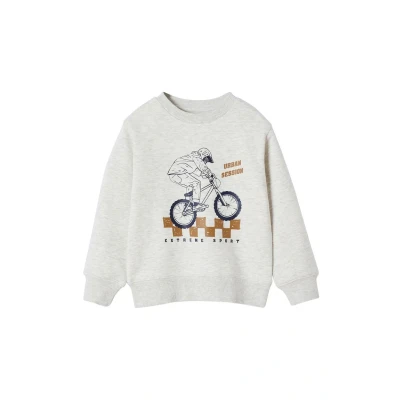 Abbildung von Jungen Sweatshirt mit Print vorn