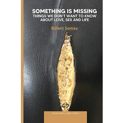 Abbildung von Something is Missing: Things We don’t Want to Know about Love, Sex and Life (Society Politics)