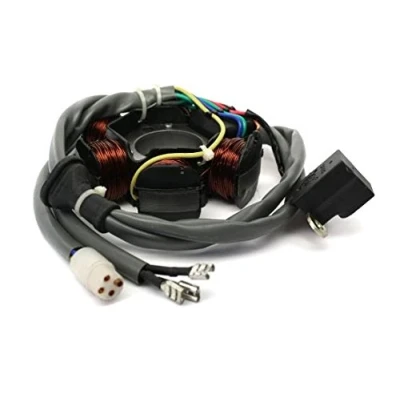 Abbildung von Lichtmaschine Anker Strator kompatibel mit TPH NRG Zip Sfera Quartz Free, Gilera Runner Stalker