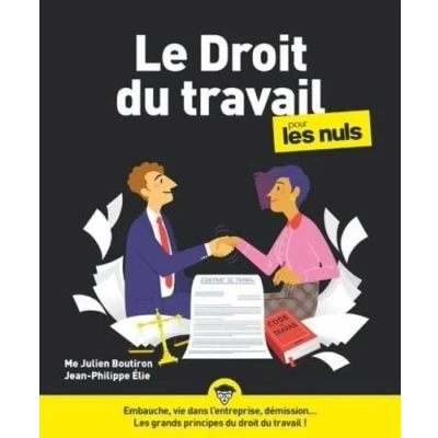 Abbildung von Le Droit du travail pour les Nuls, grand format, 6e éd