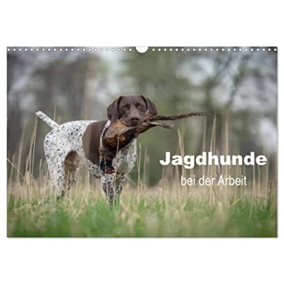 Abbildung von Jagdhunde bei der Arbeit (Wandkalender 2025 DIN A3 quer), CALVENDO Monatskalender