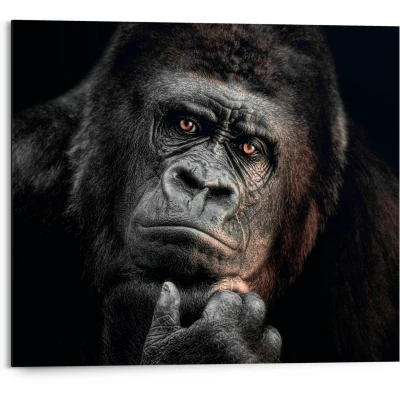 Abbildung von Reinders Deco Panel &quot;Gorilla&quot;