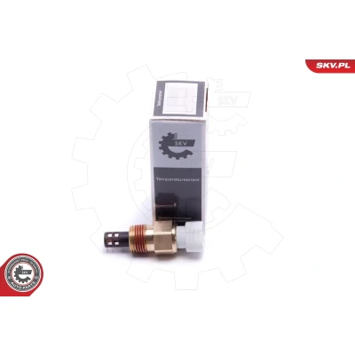 Abbildung von ESEN SKV 17SKV678 Sensor, Ansauglufttemperatur
