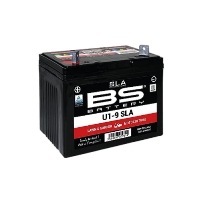 Abbildung von BS Battery Batterie Battery, SLA, versiegelt, GARDEN Serie, &quot;U1 9&quot; ETN: 524 450 030