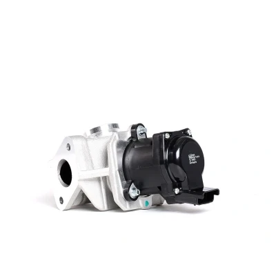 Abbildung von HITACHI 138481 AGR Ventil Hüco elektrisch Magnetventil mit Dichtung FORD: Focus C Max, 2 Kombi, FIESTA 6, PEUGEOT: 307 Schrägheck, 407 Limousine