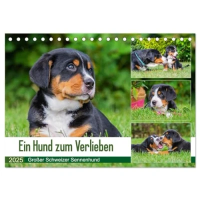 Abbildung von Ein Hund zum Verlieben Großer Schweizer Sennenhund (Tischkalender 2025 DIN A5 quer), CALVENDO Monatskalender