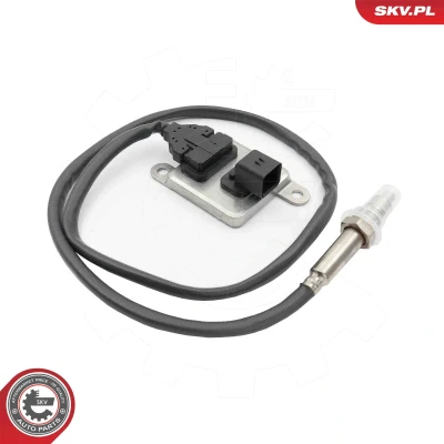 Abbildung von NOx Sensor, Katalysator ESEN SKV 71SKV107