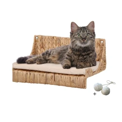 Abbildung von Rohrschneider Katzen Kletterwand Katzenkletterwand Fenja Katzenstufen Wand Kletteretage Wasserhyzinthe