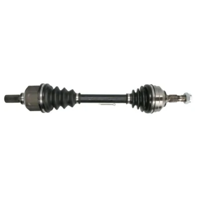 Abbildung von Antriebswelle PASCAL G2P062PC