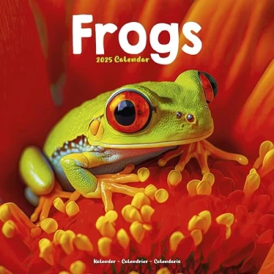 Abbildung von Frogs Frösche 2025 16 Monatskalender: Original Avonside Kalender [Mehrsprachig] [Kalender] (Wall Kalender)