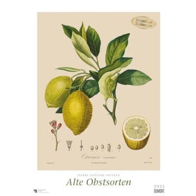Abbildung von DUMONT Poiteau: Alte Obstsorten 2025 Wandkalender, 50x70cm, Posterkalender mit Abbildungen von alten Obstsorten, aus der Rara Sammlung Staatsbibliothek zu Berlin