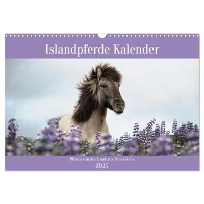 Abbildung von Islandpferde Kalender (Wandkalender 2025 DIN A3 quer), CALVENDO Monatskalender