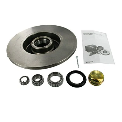 Abbildung von SKF VKBD 1004 Bremsscheibe 226 10 voll mit integriertem Radlager VOLKSWAGEN: GOLF 4 Cabrio, 2, 3, SEAT: Ibiza Cordoba I Limousine