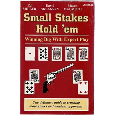 Abbildung von Small Stakes Hold &#039;em: Winning Big with Expert Play (Small Poker Games)