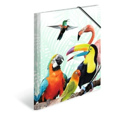 Abbildung von HERMA 19959 Sammelmappe A4 Exotische Tiere Tropenclique, Kinder Eckspanner Mappe aus Kunststoff mit Innendruck &amp; Gummizug, stabile Einschlagmappe Plastik für Jungen Mädchen