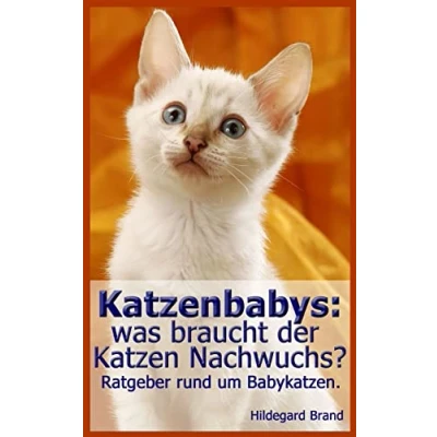 Abbildung von Katzenbabys: was braucht der Katzen Nachwuchs?: Ratgeber rund um Babykatzen.