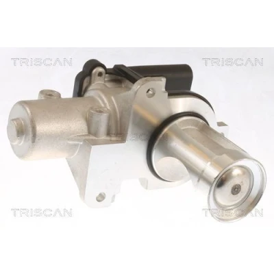 Abbildung von TRISCAN 8813 29101 AGR Ventil elektronisch mit Dichtungen VOLKSWAGEN: Transporter 5 Bus, Kastenwagen, Multivan (7HM, AUDI: A4 B7 Avant