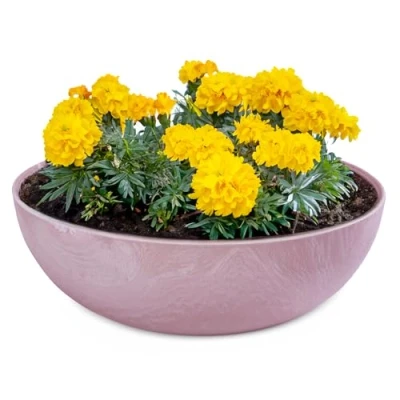 Abbildung von matches21 HOME &amp; HOBBY Pflanzschale für draussen in alt rosa marmoriert 25 x 9 cm als wetterfeste Blumen Schale