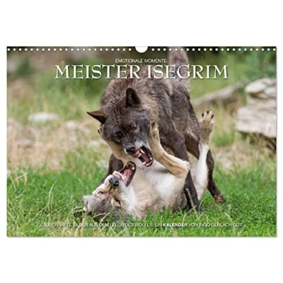 Abbildung von Meister Isegrim (Wandkalender 2025 DIN A3 quer), CALVENDO Monatskalender