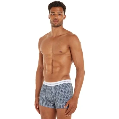 Abbildung von Tommy Hilfiger Trunk Print 3 PACK Panties, Herren, Größe: Small, Crop geo/well water/desert sky