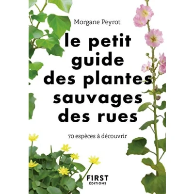 Abbildung von Le Petit guide des plantes sauvages rues 70 espèces à découvrir