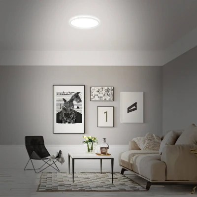 Abbildung von BRILONER LED Deckenlampe flach Smart Home, funktioniert mit Alexa, buntes RGB+W Licht, Lampe, Deckenleuchte, Wohnzimmerlampe, Panel, Schlafzimmerlampe, 42x3,5 cm, Weiß