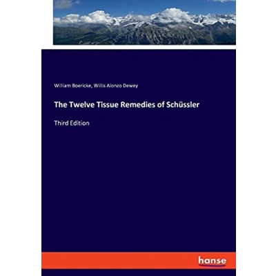 Abbildung von The Twelve Tissue Remedies of Schüssler: Third Edition