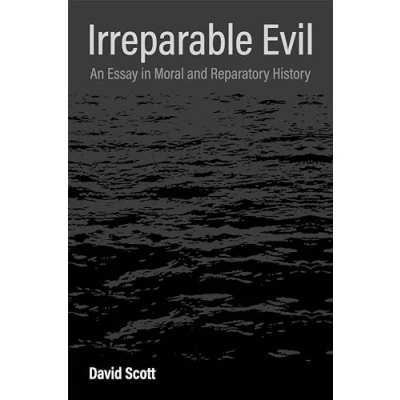 Abbildung von Irreparable Evil: An Essay in Moral and Reparatory History