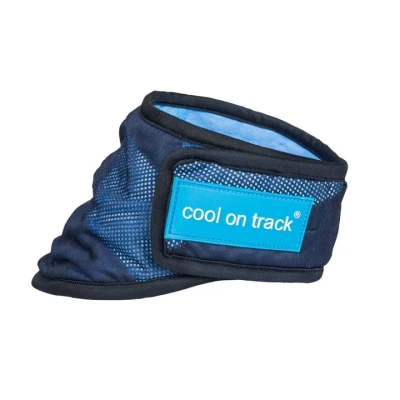 Abbildung von Back on Track Cooling Bandana Blau XL Agradi.deVerkauft von Agradi