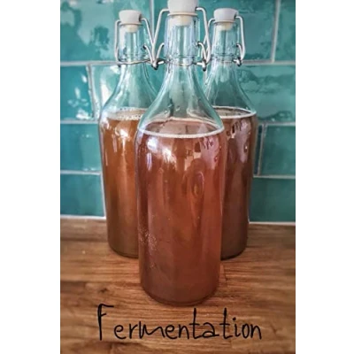 Abbildung von Fermentation: Notizbuch bzw. Notizheft für das fermentieren, einmachen, einlegen oder gären. (Fermentation D, Band 1)