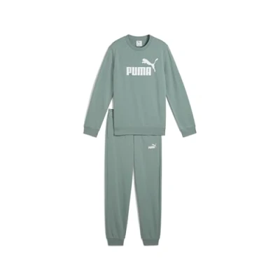 Abbildung von Puma Essentials No. 1 Logo Crew Trainingsanzug Teenager Für Herren Damen Kinder Mit Print Green Moon Größe: 15 16Y