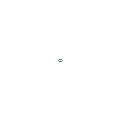 Abbildung von Gummiring, Einspritzpumpe BOSCH 2 440 210 002