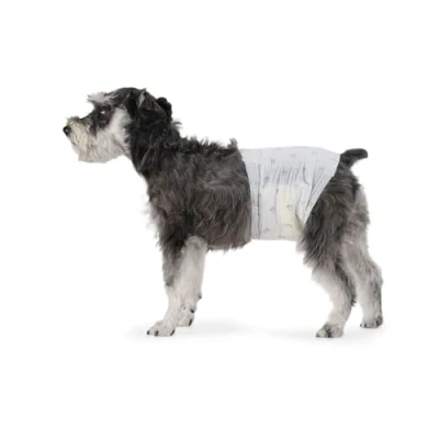 Abbildung von Amazon Basics Hundewindel für Rüden, Einwegwindeln, Größe M, Weiß, 30 Stück