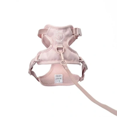 Abbildung von LucyBalu Katzen Halsband EXPLORER Katzengeschirr Hello Kitty Edition