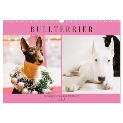 Abbildung von Bullterrier. Freudiges Wesen und Charakter (Wandkalender 2025 DIN A3 quer), CALVENDO Monatskalender