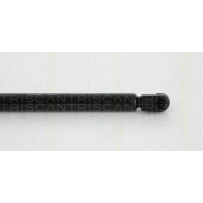 Abbildung von TRISCAN 8710 69225 Heckklappendämpfer 300 378 NISSAN: Pixo, SUZUKI: Alto VII