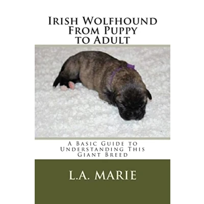 Abbildung von Irish Wolfhound From Puppy to Adult: A Basic Guide Understanding This Giant Breed