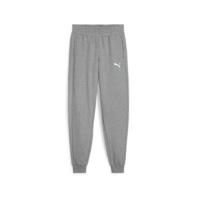 Abbildung von puma Teamgoal Jogginghose für Kinder, Größe: 164, Medium gray heather white