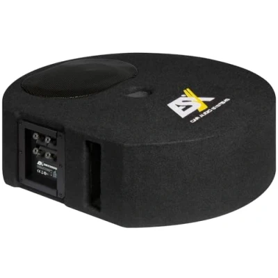 Abbildung von ESX DBX Reserverad Subwoofer 300Q Auto
