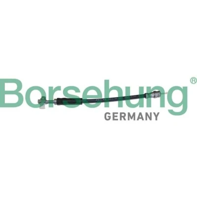 Abbildung von Bremsschlauch Borsehung B10950