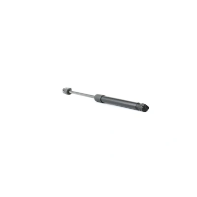 Abbildung von RIDEX 219G0938 Heckklappendämpfer 300 378 NISSAN: Pixo, SUZUKI: Alto VII