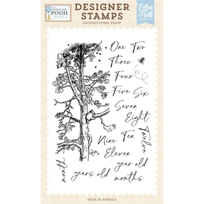 Abbildung von Echo Park Winnie The Pooh Baby Designer Stamps First Year Milestones (WPB442046)