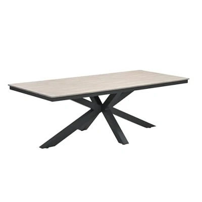Abbildung von Gardissimo Gartentisch Esstisch Armati hell 220 x 100 cm rechteckig, Tisch Aluminium Nonwood Wetterfest Outdoor anthrazit pflegeleicht
