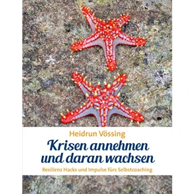 Abbildung von Krisen annehmen und daran wachsen: Resilienz Hacks Impulse fürs Selbstcoaching