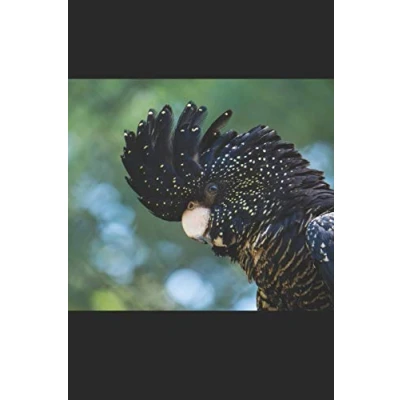 Abbildung von Banks Rabenkakadu: Notizbuch / Tagebuch DIN A5 120 Seiten punktiert Punkteraster Vogel Papagei Kakadu Geschenke