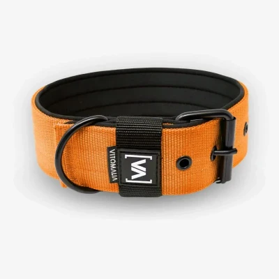 Abbildung von VITOMALIA® 5cm Breites Hundehalsband mit abstehender Neopren Innenfütterung für Hunde, Schwarze Edelstahl Dornschnalle, große Hunde (5cm/L = 45cm 55cm, Orange)