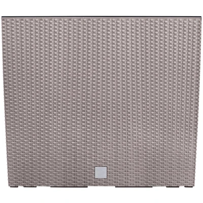 Abbildung von Prosperplast Blumenkasten Rato Case, BxTxH: 58x18x49,8 cm, mocca, mit Einsatz